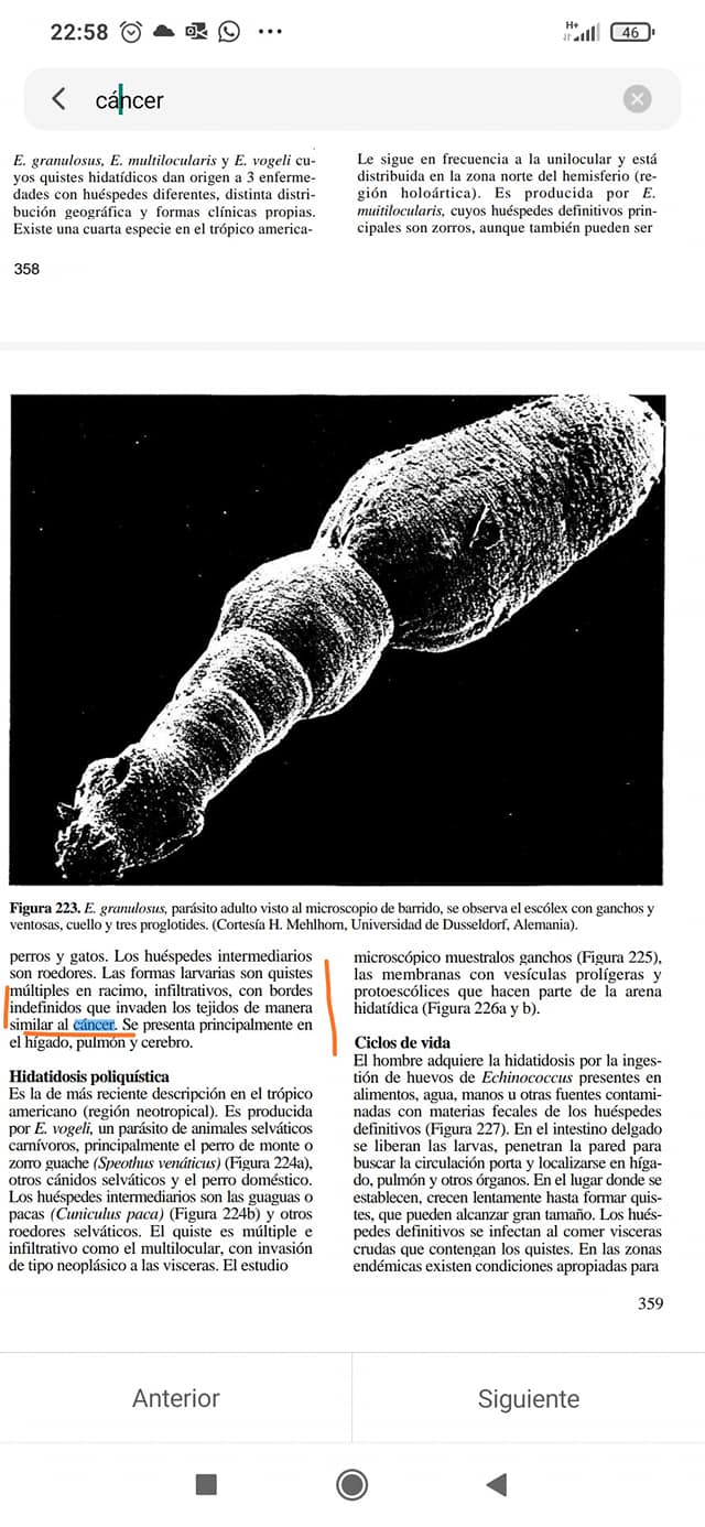 Cáncer