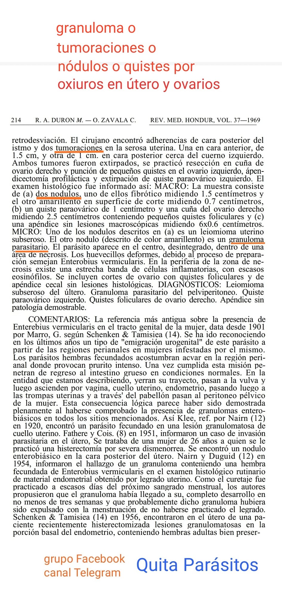 Quistes por Oxiuros